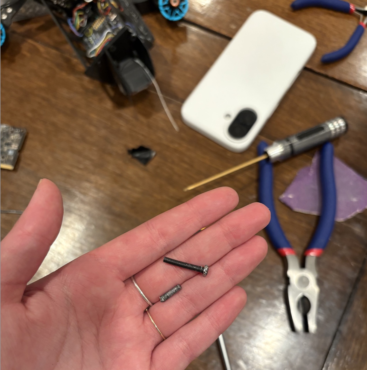 Traitor screw